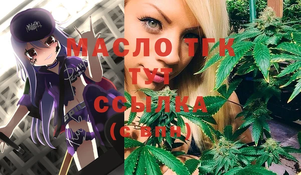 герыч Пересвет